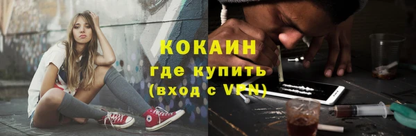 крисы Абаза
