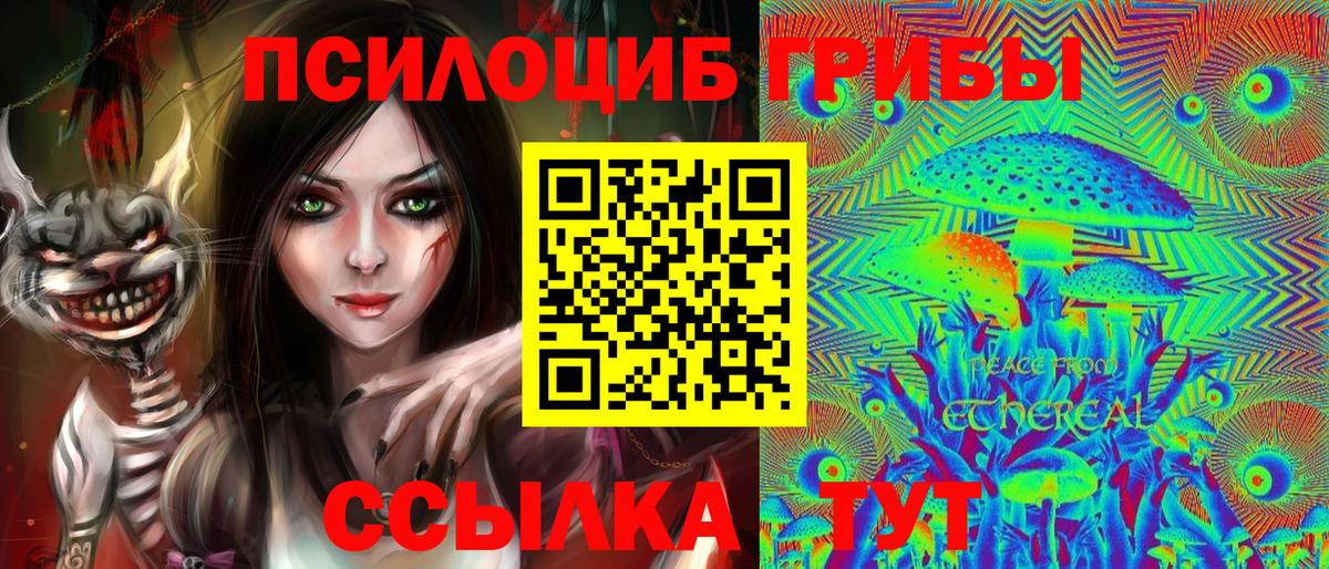 Псилоцибиновые грибы прущие грибы  Псилоцибиновые грибы мухоморы  Алапаевск  где купить наркоту  Вход с VPN 